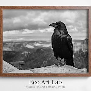 Raven Sitting on Rock Printable Digital Painting. Instant Download Crow Painting Raven Art. Black and White Printable Wall Art Poster