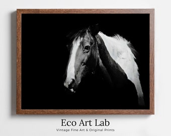 Black and White Wall Art Horse Photography Print. Digital Download, Printable Horse Art, Black and White Horse Photo, Large Wall Art Print