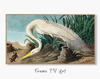 Samsung Frame TV Art 4K Tropical Bird White Heron Vintage Painting. Samsung TV Art Vintage. Digital Download Nature Art for Samsung Frame TV