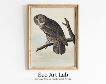 Owl Painting Vintage Illustration Art Poster. Instant Download Owl on Tree Branch Owl Print. Printable Owl Art. Antique Owl Painting