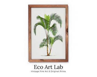 Printable Vintage Palm Tree Art. INSTANT DOWNLOAD Botanical Wall Art Vintage Tropical Poster. Palm Trees Print Nature Poster Digital Art #12