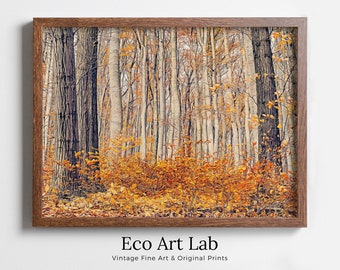 Wald im Herbst. Herbstliche Landschaftsmalerei. Druckbare Wandkunst für Haus oder Büro Dekor. Wald Kunst Natur Druck Digital Art Instant Download