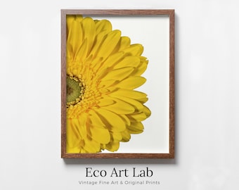 Yellow Gerbera Daisy Painting Printable Wall Art, Daisy Flower Print, Floral Instant Digital Download Minimalist Botanical Decor