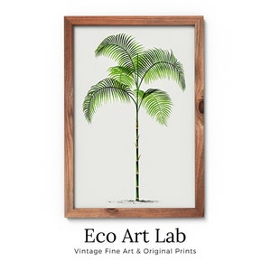 Printable Vintage Palm Tree Art. INSTANT DOWNLOAD Botanical Wall Art Print. Vintage Tropical Poster. Palm Trees Digital Nature Print #27