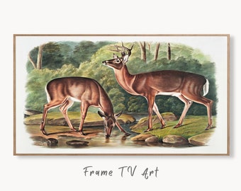 Samsung Frame TV Art 4K White-tailed Deer Vintage Painting. Instant Download Nature Animal Art for Samsung Frame TV. Deer Art for TV