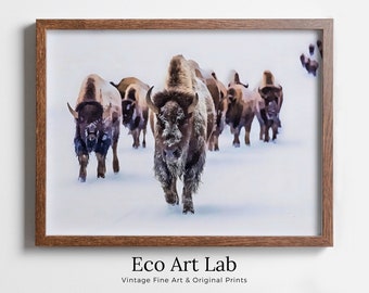 Bison Buffalo Digital Art. Nature Prints. Animal Art Print. Printable Bison Poster Wall Art Photography
