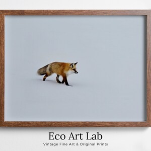 Red Fox Walking in Snow. Printable Wall Art. Digital Download Fox Wall Art Poster. Nature Print Digital Art. Instant Download Winter Decor