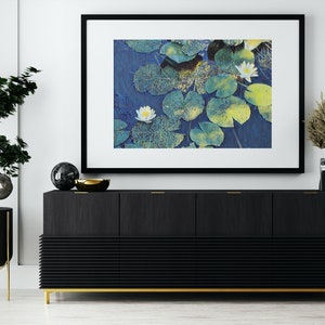 Op de afbeelding: Een zwart ingelijst beeld met een witte passe-partout, met een foto van witte waterlelies met groene bladeren in een vijver. Het beeld hangt aan een witte muur boven een zwarte kast met gouden accenten.