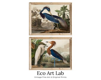 Herons Vintage Tropical Birds Set of 2 Prints. Wildlife Nature Colorful 2 Piece Wall Art. Fine Art Prints. Instant Download. Printable Art