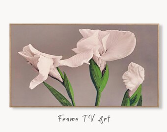 Samsung Frame TV Art 4K White Irises Vintage Japanese Painting. Instant Download Antique Japanese Art for the Frame TV. Vintage Wall Art