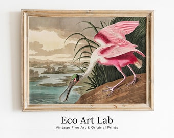 Vintage Tropical Bird Printable Wall Art. Pink Spoonbill Wildlife Nature Colorful Tropical Decor. Instant Download. Bird Poster Art Print
