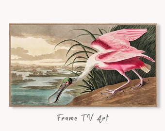 Samsung Frame TV Art 4K Tropical Bird Vintage Painting. Pink Spoonbill Samsung TV Art. Digital Download. Nature Art for Samsung Frame TV