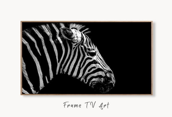 Samsung Frame TV Art 4K Zebra Black and White Digital