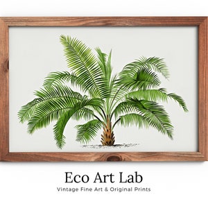 Printable Vintage Palm Tree Art. INSTANT DOWNLOAD Botanical Wall Art Print. Vintage Tropical Poster Palm Trees Nature Poster Digital Art #06