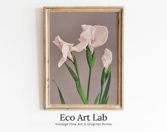 Vintage Japanese Flower Art White Irises Painting Printable Wall Art. Instant Download Antique Japanese Art. Botanical Print Floral Wall Art