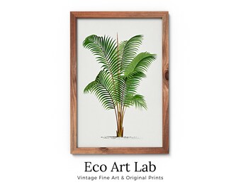 Vintage Palm Tree Drawing Digital Print Tropical Wall Art. Palm Leaves Decor, Nature Poster INSTANT DOWNLOAD Botanical Illustration #02