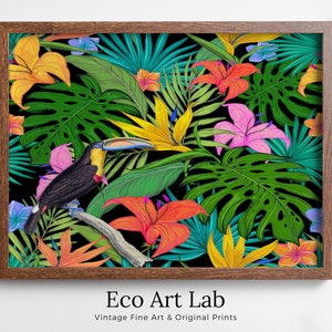 Toucan Wall Art Print, Wildlife Nature Botanical Illustration. Bright Colorful Decor. Tropical Bird Picture. Printable Digital Download