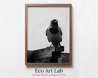 Printable Crow Painting. Crow Wall Art Instant Download Raven Decor. Black Bird Print Animal Painting. Digital Raven Print Downloadable Art