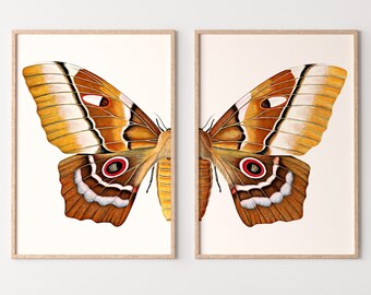 Insect Print, Moth Butterfly Print, Insect Art, Printable Nature Photography, Wall Art Print, Butterfly Art Print, Butterfly Set of 2 Prints