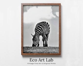 Grazing Zebra Black and White Printable Wall Art. Zebra Digital Print Black and White Art Vertical Downloadable Art. Safari Animals Print