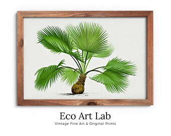Printable Vintage Palm Tree Art. INSTANT DOWNLOAD Botanical Wall Art Print. Vintage Tropical Poster. Palm Trees Digital Nature Print  #33