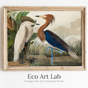 Dos garzas, pájaro tropical vintage, arte de pared imprimible. Decoración tropical colorida de vida silvestre y naturaleza. Descarga instantánea. Póster de pájaro