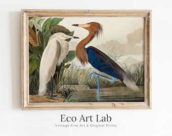 Two Herons Vintage Tropical Bird Printable Wall Art. Wildlife Nature Colorful Tropical Decor. Instant Download. Bird Poster Art Print
