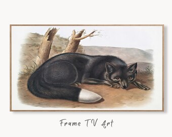 Samsung Frame TV Art 4K Black Fox Vintage Painting. Instant Download Fox Wall Animal Nature Art for the Samsung Frame TV. Red Fox Art for TV