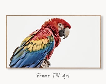 Parrot Frame TV Art 4K Digital Download, Digital Art for Tv, Colorful Art for Frame TV Tropical Bird Decor, Parrot Painting Bird Art