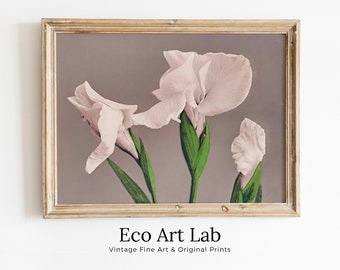 Japanese Vintage Flower Art White Irises Painting Printable Wall Art. Instant Download Antique Japanese Art. Botanical Print Floral Wall Art