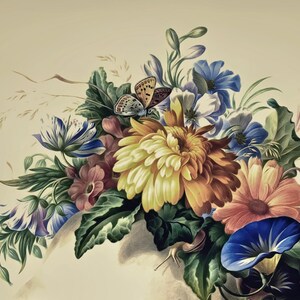 May include: A vintage botanical illustration featuring a bouquet of flowers, including a yellow chrysanthemum, pink and blue flowers, and a blue morning glory. A butterfly is perched on the chrysanthemum.