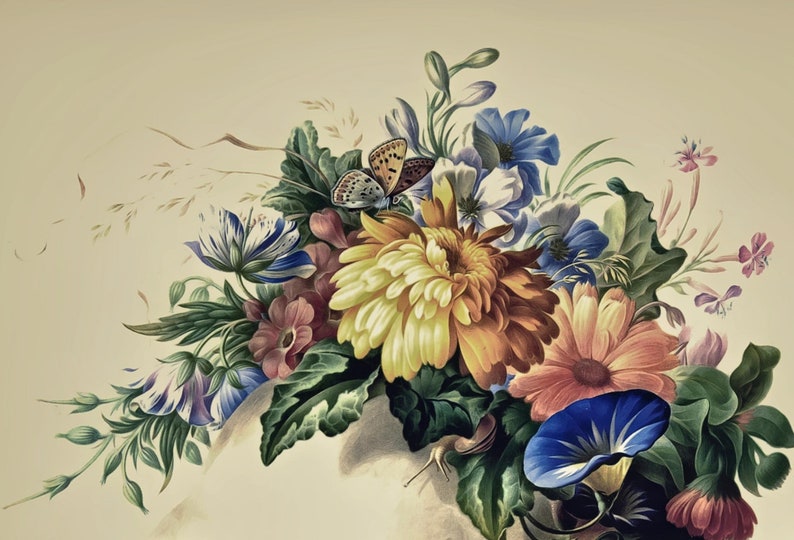 May include: A vintage botanical illustration featuring a bouquet of flowers, including a yellow chrysanthemum, pink and blue flowers, and a blue morning glory. A butterfly is perched on the chrysanthemum.
