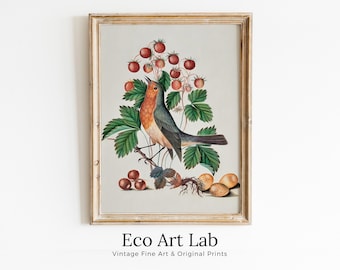 Robin and Wild Strawberry, Wall Art Poster, Vintage Botanical Print, Bird Art, Nature Decor Flower Market Print Digital Printable Wall Art