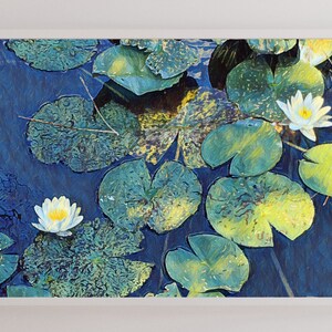 Op de afbeelding: Een schilderij van witte waterlelies met gele centra die op een blauwe vijver drijven. De lelies worden omringd door grote groene waterleliebladeren.