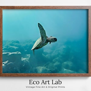 Sea Turtle Wall Art Ocean Wall Decor. Instant Download Printable Wall Art. Beach Coastal Wall Art. Nautical Wall Decor. Animal Art.