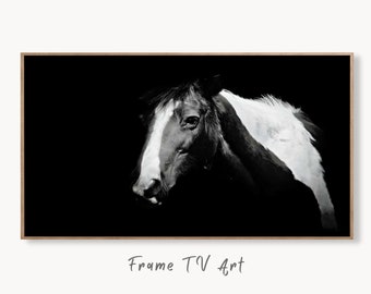 Samsung Frame TV Art 4K Black and White Horse Photography. Instant Download Black and White Horse Photo. Equestrian Art for Frame TV