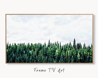 Samsung Frame TV Art 4K Green Forest Landscape Nature Wall Art. Instant Download Forest Photography. Pine Trees Art for Frame TV