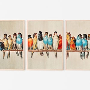 Vintage Bird Art 3 Piece Wall Art Gallery Wall Set. Instant Download Printable Wall Art Bird Painting. Birds Decor Wall Art Prints