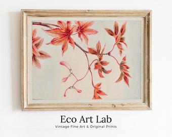 Vintage Japanese Botanical Art Maple Tree Branch Painting Printable Wall Art. Leaves Decor Antique Japanese Art. Botanical Print Wall Art
