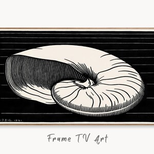 May include: Black and white illustration of a nautilus shell on a black background with white stripes. The image is signed "A.J.D.C. 1921".