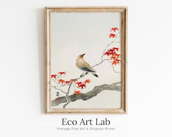 Vintage Japanese Painting. Bird on Maple Tree. Japanese Wall Art Printable Poster. 20th Century Japanese Vintage Spring Wall Art, Bird Art