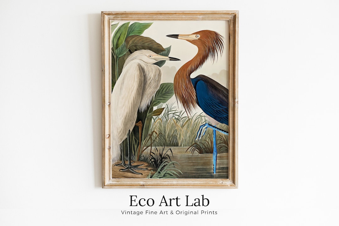 Picture of Vintage Two Herons Tropical Bird Printable Wall Art. Wildlife Nature ...