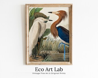 Vintage Two Herons Tropical Bird Printable Wall Art. Wildlife Nature Colorful Tropical Decor. Instant Download. Bird Poster Art Print