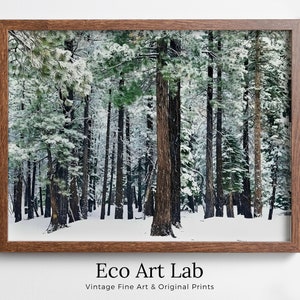 Snowy Winter Forest Print. Winter Wonderland Landscape. Winter Poster. Christmas Wall Art. Snowy Trees. Snow Covered Trees. Printable Art.