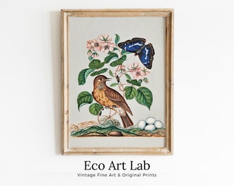 Botanical Wall Art Poster, Vintage Butterfly Print, Botanical Prints Flowers and Bird Decor Flower Market Print Digital Printable Wall Art