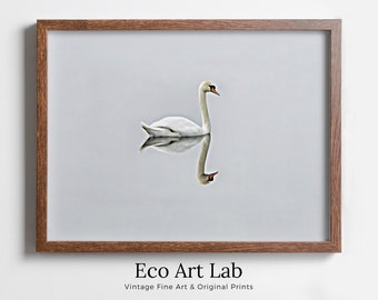 Swan in Clear Waters Landscape Printable Wall Art. Home or Office Decor, Animal Painting Nature Print Digital Art Download, Swan Painting