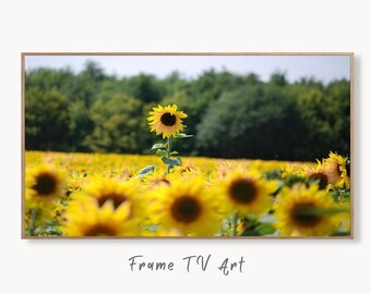 Samsung Frame TV 4K Art Sunflowers Field. Summer Landscape Flowers Photography Digital Download. Floral Botanical Art Sunflower Decor