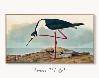 Samsung Frame TV Art 4K Tropical Bird Vintage Painting. Samsung TV Art Digital Download. Long-legged Avocet. Nature Art for Samsung Frame TV