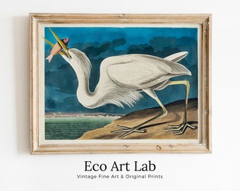 Great White Heron Vintage Tropical Bird Printable Wall Art. Wildlife Nature Colorful Tropical Decor. Instant Download. Bird Poster Art Print
