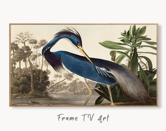 Samsung Frame TV Art 4K Blue Heron Tropical Bird Vintage Painting. Samsung TV Art Vintage. Digital Download. Nature Art for Samsung Frame TV